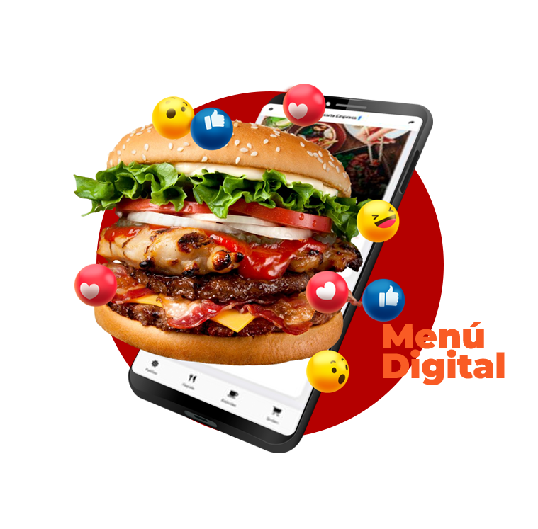 imagen producto